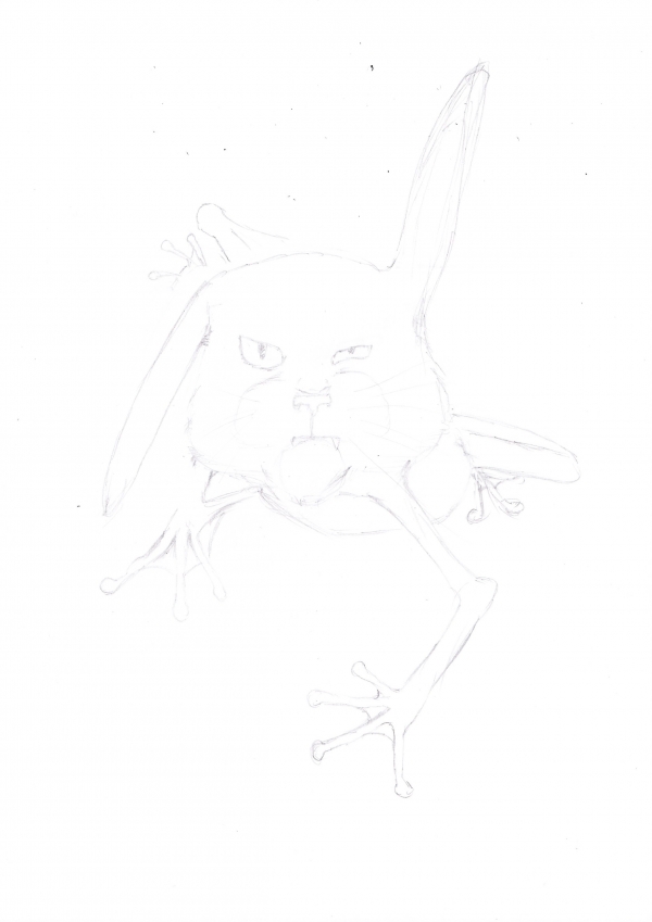 Creation of Buncafro: Step 1